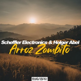 SCHEFFLER ELECTRONICS & HOLGER ABEL - ARROZ ZAMBITO